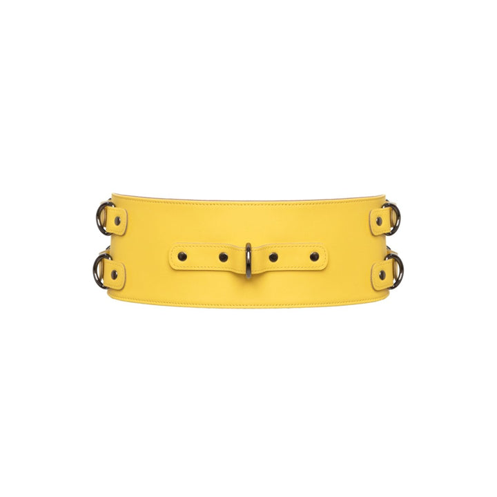 Yellow Waist Belt - idevildesires