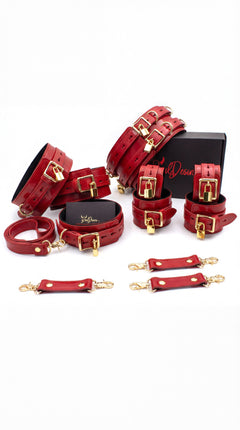 Red Patent Lock & Control Leather Set