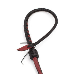 Single Tail Whip - idevildesires