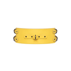 Yellow Waist Belt - idevildesires