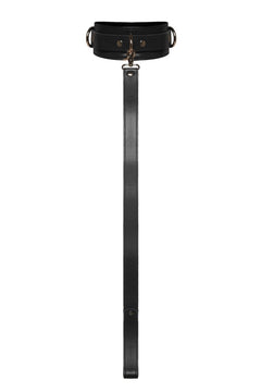 Black Collar with Leash - idevildesires