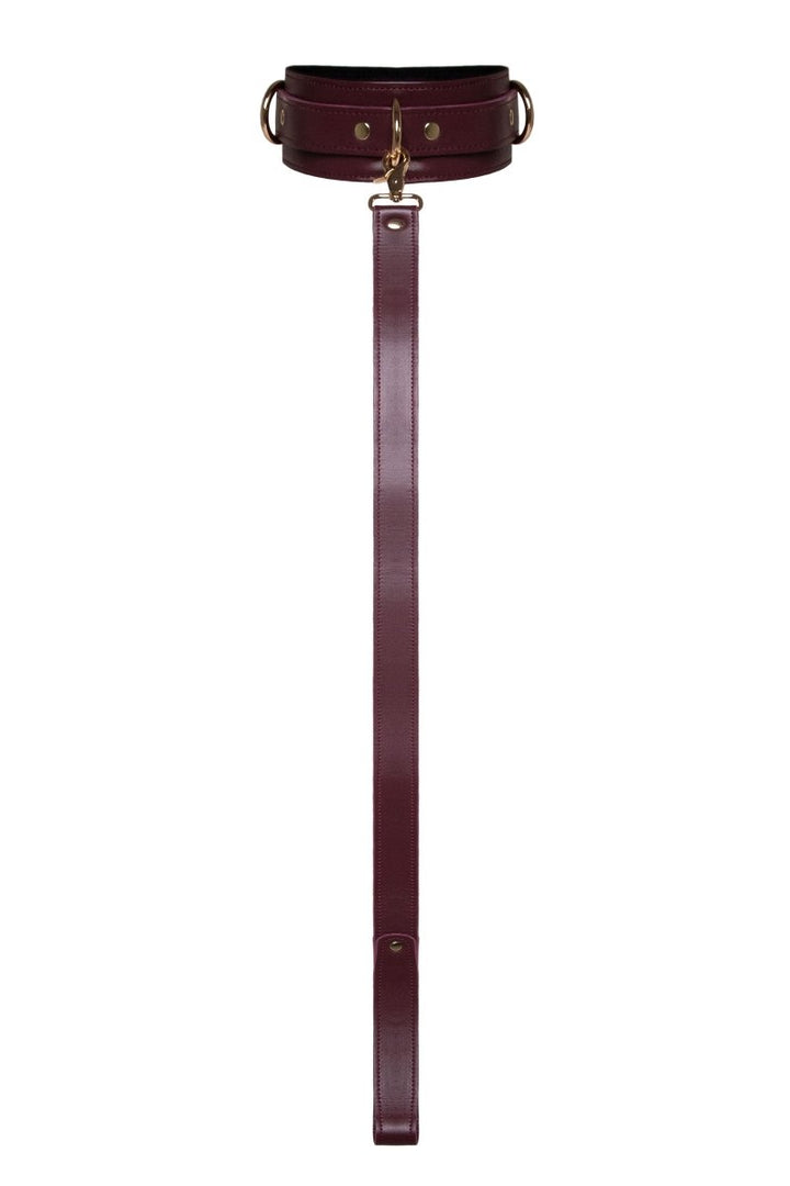 Burgundy Collar with Leash - idevildesires
